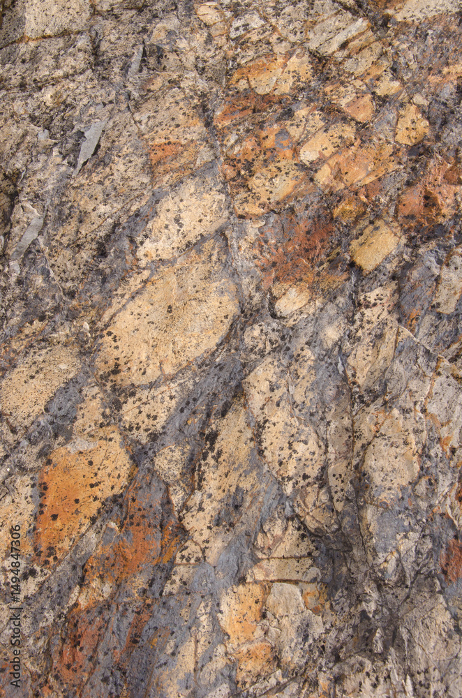 Surface of a rock. Integral Natural Reserve of Inagua. Gran Canaria. Canary Islands. Spain. Surface of a rock. Integral Natural Reserve of Inagua. Gran Canaria. Canary Islands. Spain.
