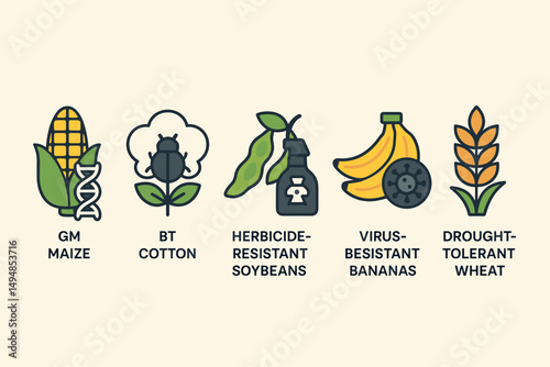 Genetically modified foods flat icons set – agriculture, biotechnology, gm crops