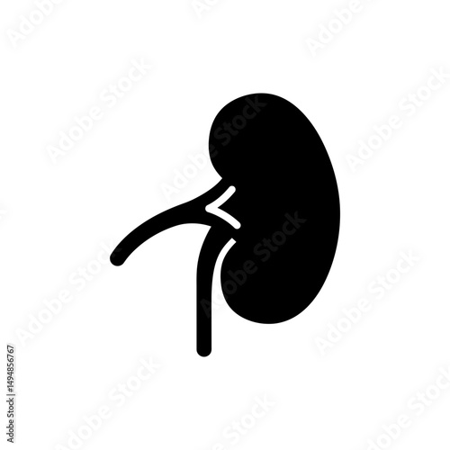 One-Sided Kidney Icon for Medical Use and Health Applications