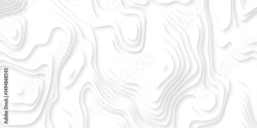 Abstract white paper cut background with lines. Background of the topographic map. White wave paper curved reliefs abstract background. Realistic papercut decoration textured with wavy layers.