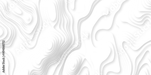 Abstract white paper cut background with lines. Background of the topographic map. White wave paper curved reliefs abstract background. Realistic papercut decoration textured with wavy layers.