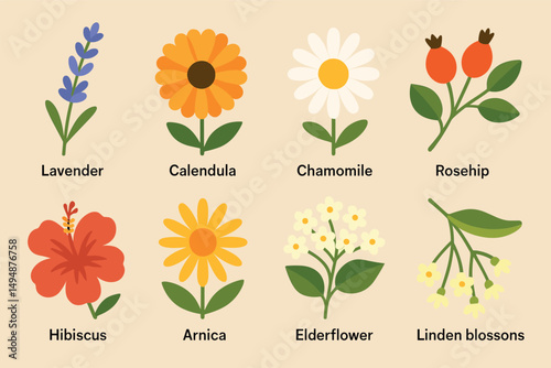 Herbal flat icons set – outline, plant symbols for natural healing and remedies