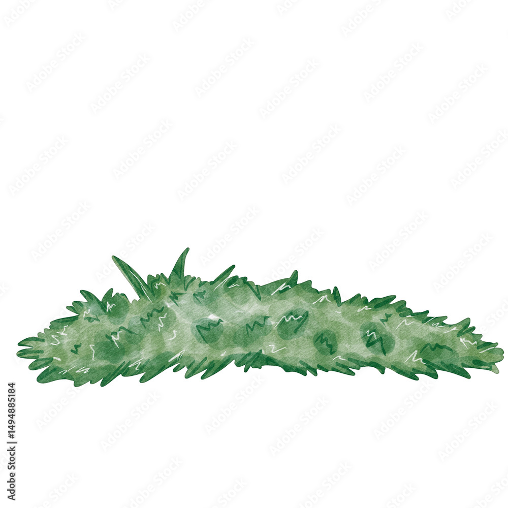 Naklejka premium watercolor bush grass illustration