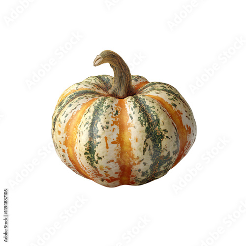 Decorative Multicolored Pumpkin, Autumn Gourd, Thanksgiving Squash