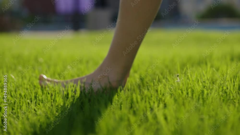 Female feet walking barefoot on verdant grass, sensing soft blades caressing skin while connecting with natural environment during peaceful summer moment