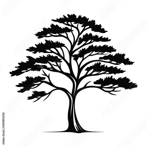 Cedar Tree black color on isolated white background