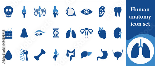 Human anatomy icon set, male, genitals, pain, ankle, arm, leg, hand, toe, finger, illustration, heartburn, neck, contour, acupuncture, knee, calf, headache, organ, internal and more