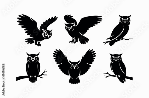 Owl Night Forest Bird Silhouette Illustration