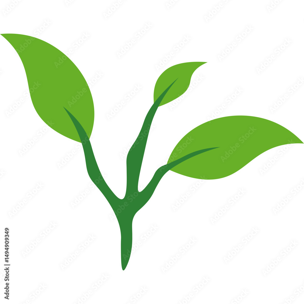 Obraz premium Green Tea Leaves 