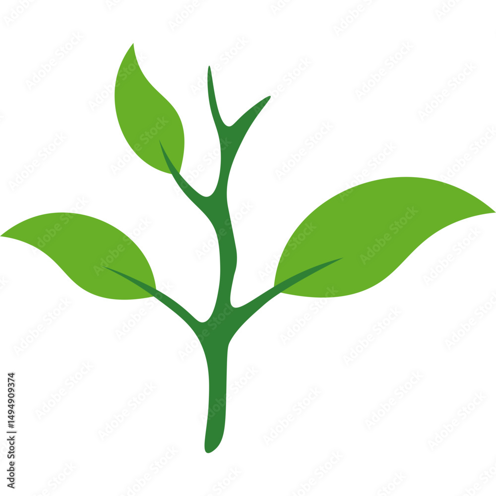 Obraz premium Green Tea Leaves 