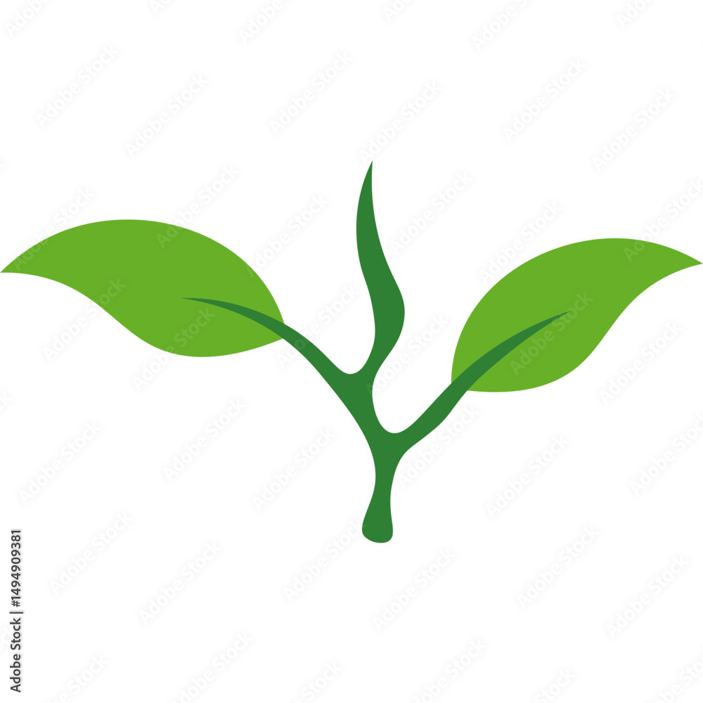 Obraz premium Green Tea Leaves 