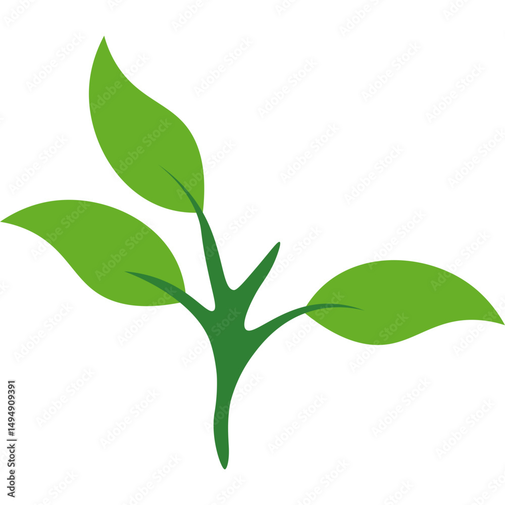Obraz premium Green Tea Leaves 
