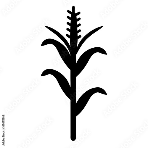 Simple black silhouette of a corn plant with leaves and cob