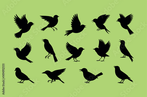 bird silhouettes bundle wildlife birds nature flying
