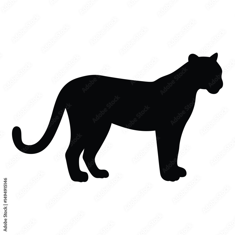 Fototapeta premium Silhouette of a large feline walking on a white background display