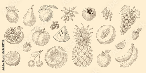 A drawing of various fruits and vegetables, including apples, bananas, and oranges.