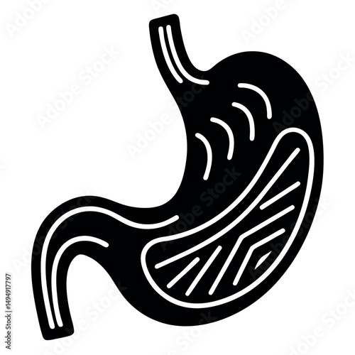 Simplified Digestive Anatomy: A stark, stylized illustration of a human stomach, highlighting its essential form and function for medical or educational purposes.