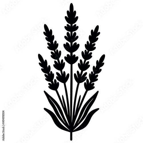 Lavender Silhouette: A simple, elegant silhouette of lavender, capturing its calming essence. Embodying serenity, this black-and-white image suggests a sense of calm.