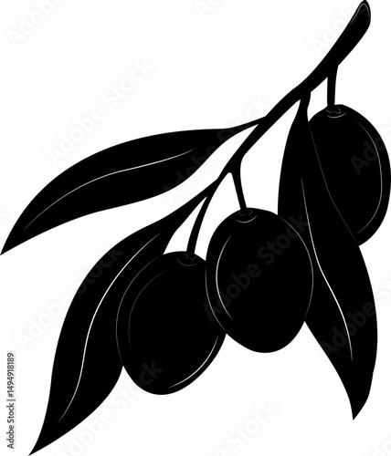 Olive branch with olives. Symbol of peace, harmony, victory and fertility.