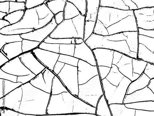 Abstract vector grunge crack texture with distressed black lines on white background. Perfect for vintage-style designs, posters, packaging, backgrounds, overlays, and artistic projects. High