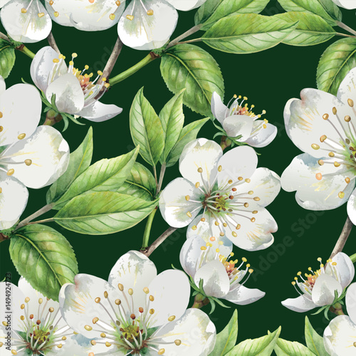 Cherry white blossom bloom hand painted colorful botanical vector seamless pattern