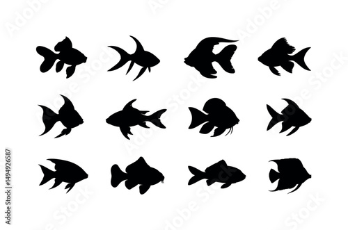 fish ecosystem sea food  