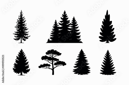 pine tree silhouette conifer needle forest landscape