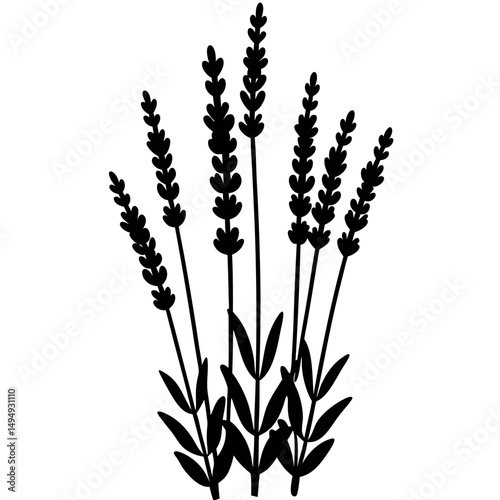 Solid Lavender Shape – Medicinal Flower Silhouette Vector