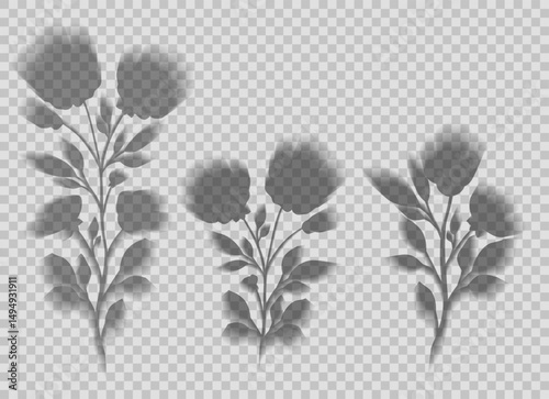 Vector set of transparent blurred shadow flowers. Collection of flower silhouettes