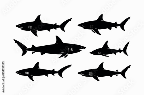 shark silhouette ocean predator