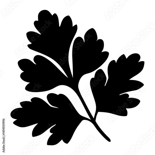 A striking black and white botanical illustration of a parsley leaf design