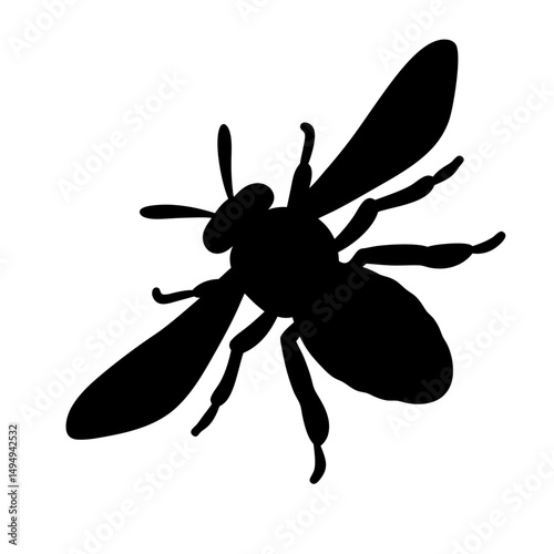 Dramatic silhouette of a honeybee in flight, isolated against a white background