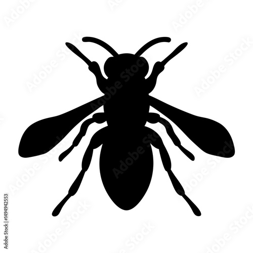 Striking Silhouette of a Honeybee Presenting its Intricate Body Details