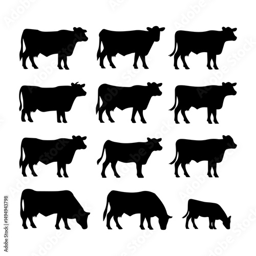 Set of black cow and calf silhouettes in various poses and profiles, isolated on white background. Ideal for farming, livestock, or agricultural design themes.