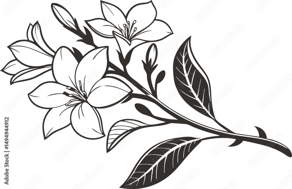 Fototapeta premium Gardenia Flower Set Design for Digital Crafts. Elegant Gardenia Flower Design Set for Printing. Gardenia Flower Set Design for Cricut and DIY Projects