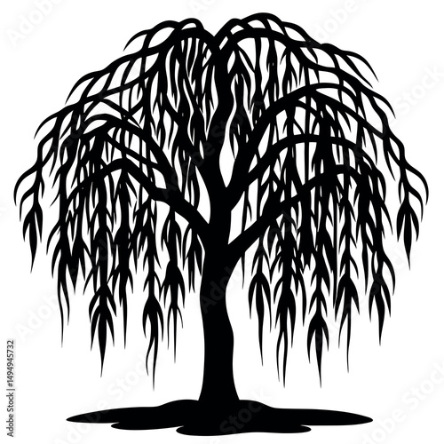 Willow Tree Silhouette – Ideal for Eco and Park Concepts