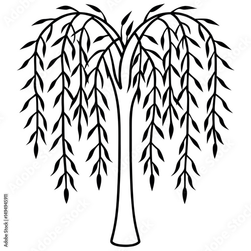 Willow Tree Stylized Line Art – Soft Nature Design for Relaxation and Meditation