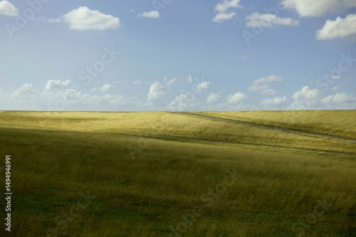 Rolling hills with golden grass under a blue sky with scattered white clouds. North Sea, Germany photo