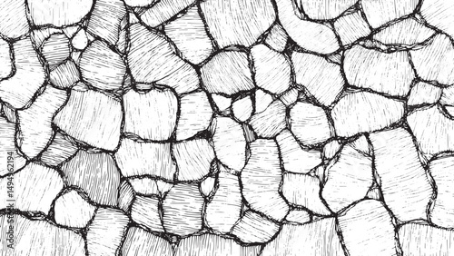 Crackle paint overlay. Vector grunge pattern, Cracked concrete texture