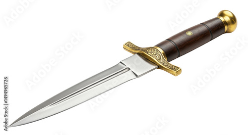 Εκτύπωση καμβά Isolated Ornate Dagger with Dark Wooden Handle and Golden Guard