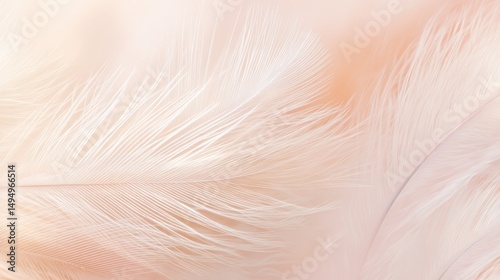 Soft peach and ivory feathers create an elegant abstract background with gentle textures and calming gradients
