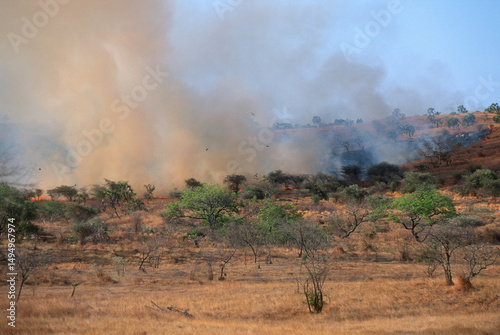 feu de brousse, incendie, Madagascar