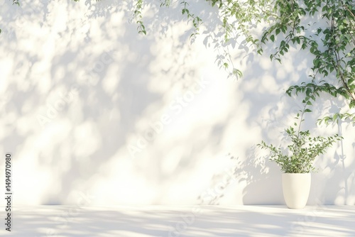 Fototapeta Naklejka Na Ścianę i Meble -  Sunny outdoor wall with plants casting shadows