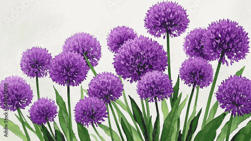 Watercolor Allium: A Symphony of Purple Vibrant Purple Allium Flowers isolated vector illustration svg