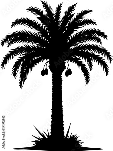 Date Palm Tree Silhouette