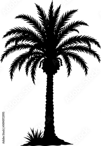 Date Palm Tree Silhouette