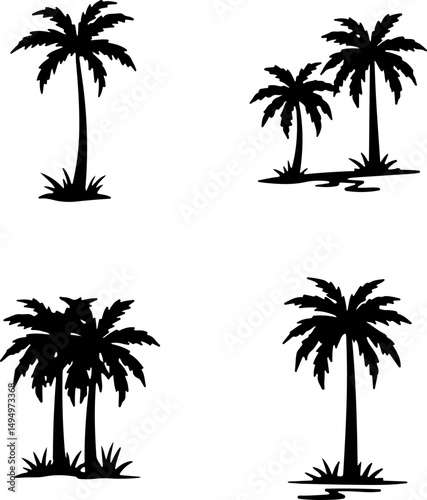 Collection of Palm Tree Silhouette vectors