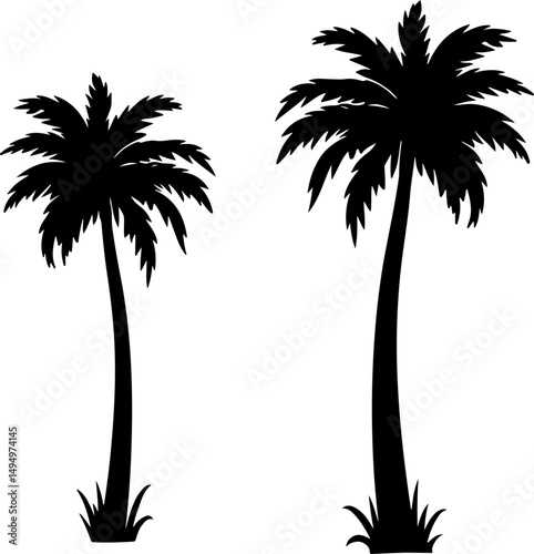 Collection of Palm Tree Silhouette vectors