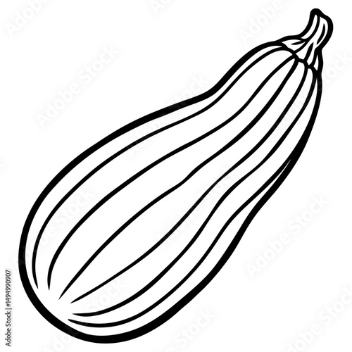 onion vector illustration