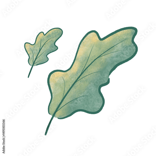 leaf on a white background, leaves illustration, leaves digital painting